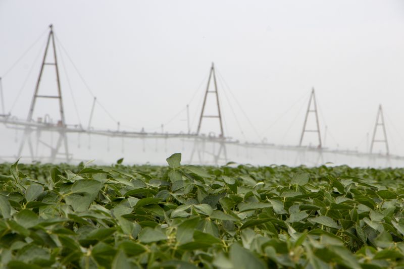 Irrigation Excavation
