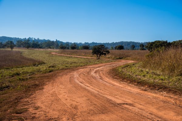 Dirt Driveway Repair in Grand Junction