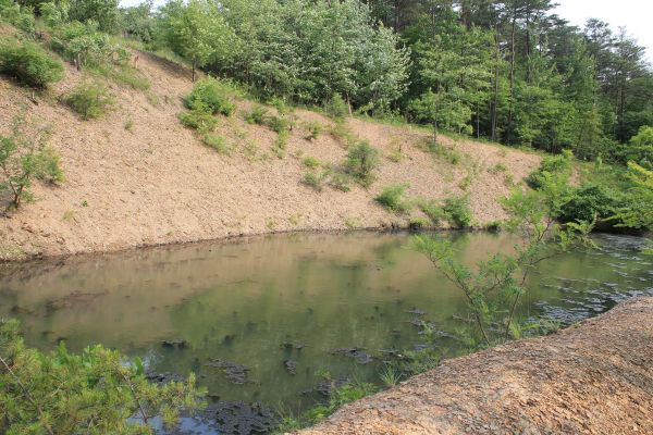 Pond Erosion Repair in Grand Junction